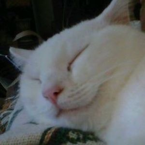 Meet your Posher, Beckie